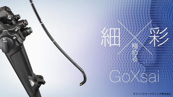 経鼻内視鏡検査